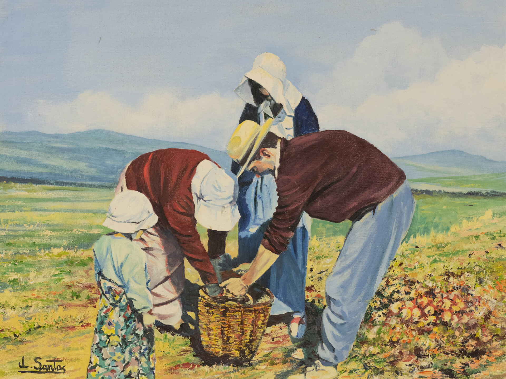 Recogiendo cebollas. J.L. Santos