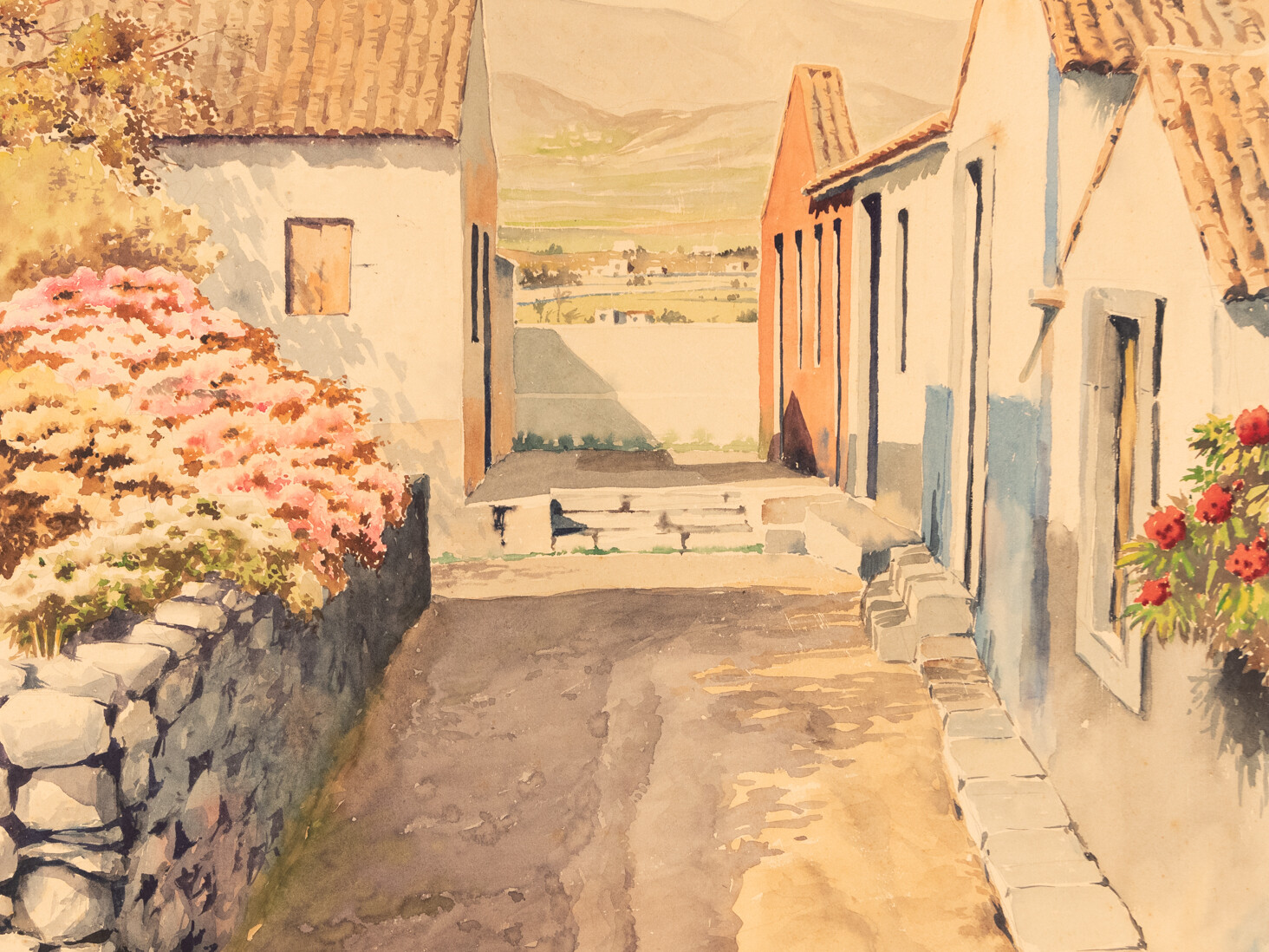 Calle con casas. Alberto J. Manrique