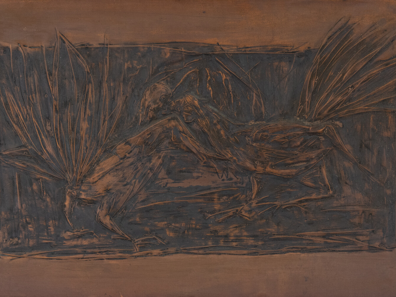 Dos aves. Fallada