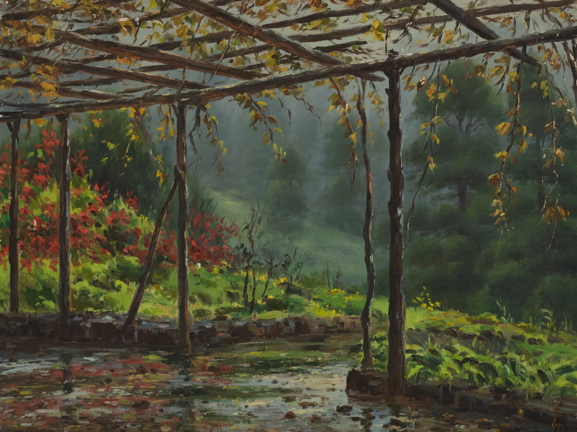 Lluvia y parral. Francisco Concepción