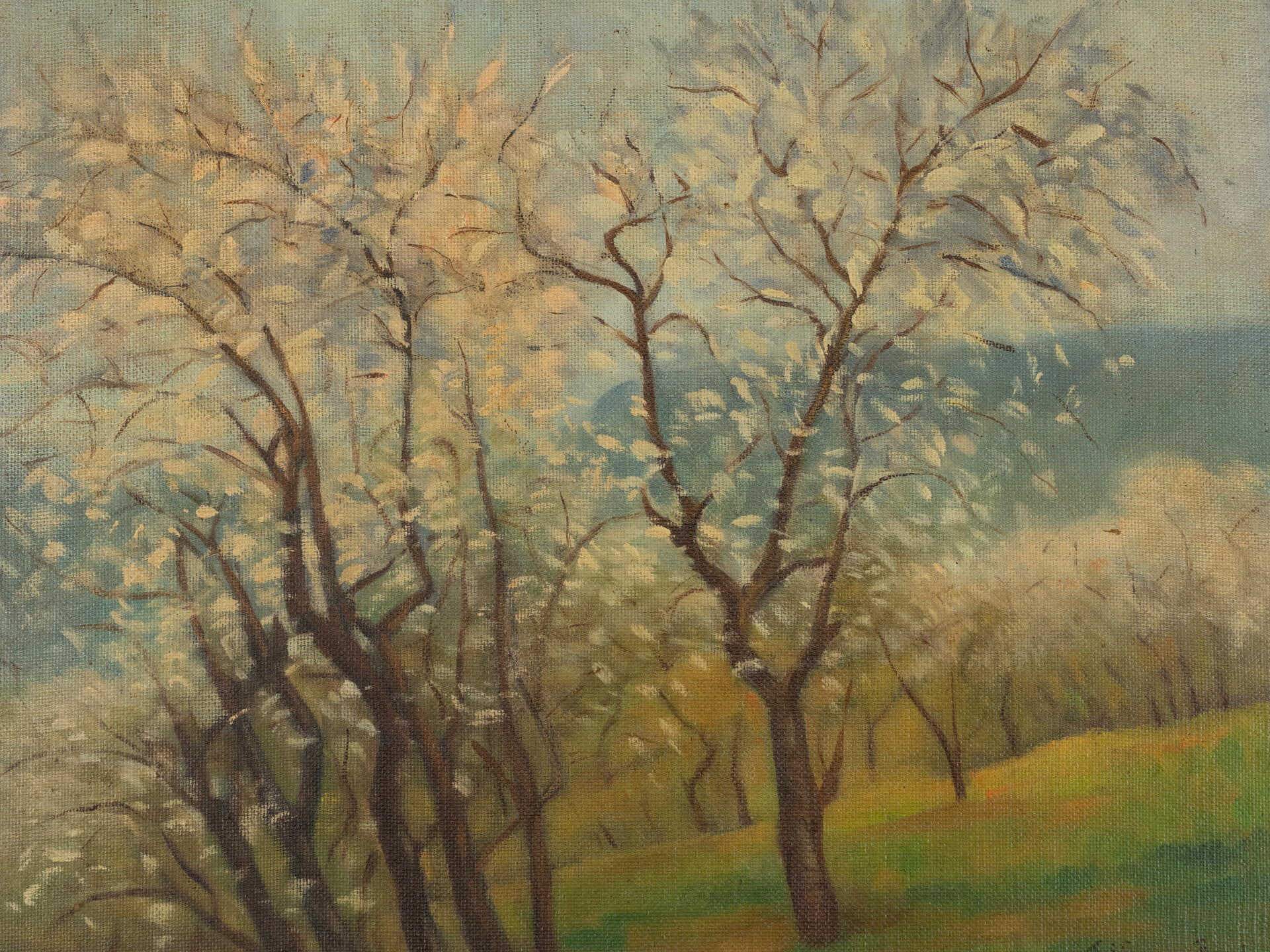 Almendros en flor. Tomás Gómez Bosch