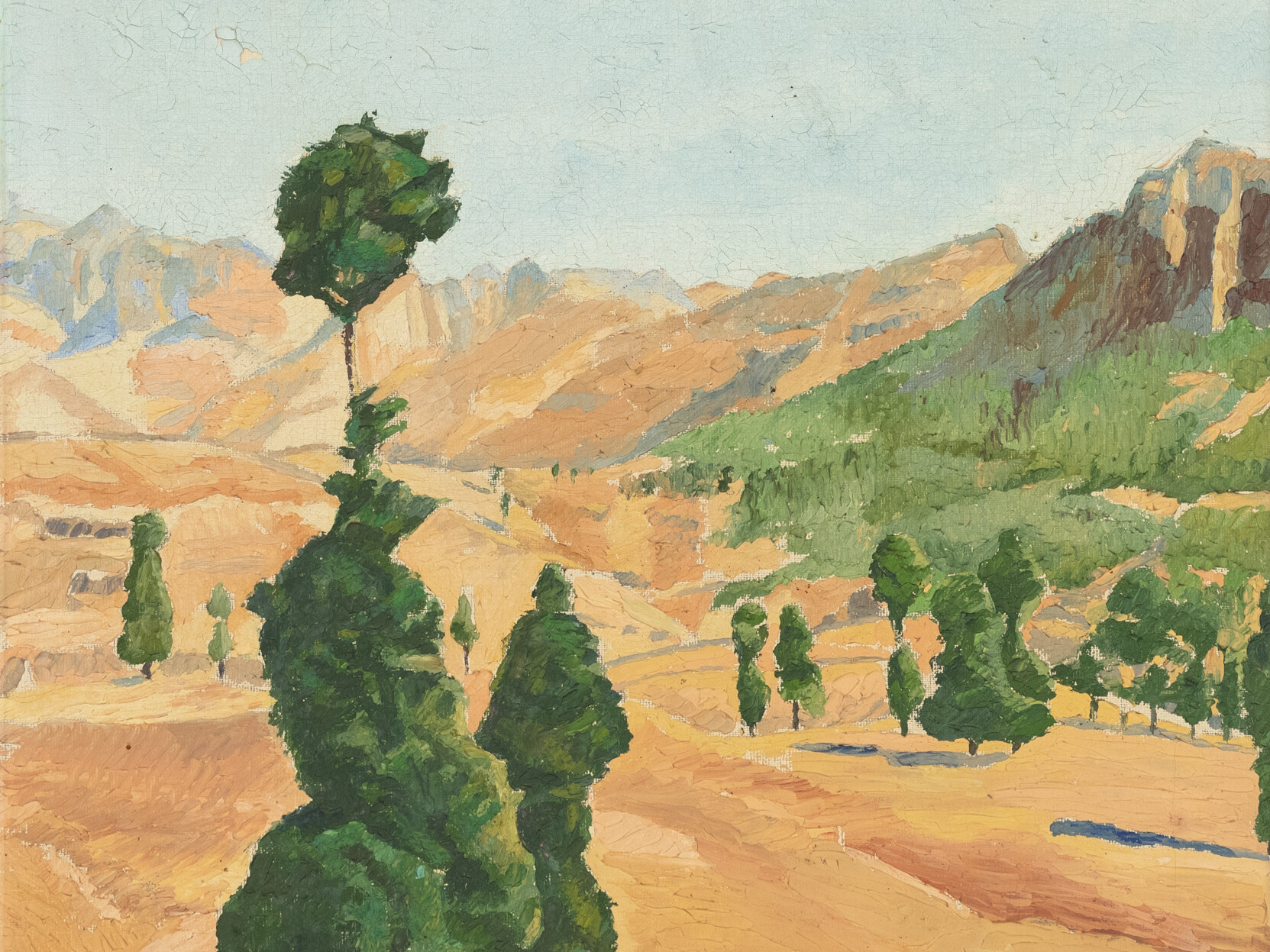 Pinar de Pajonales (Canarias). Mariano Laforet y Altaguirre