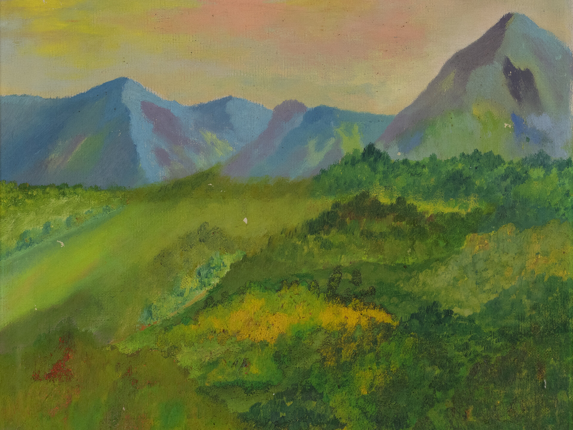 Paisaje verde. Víctor Doreste