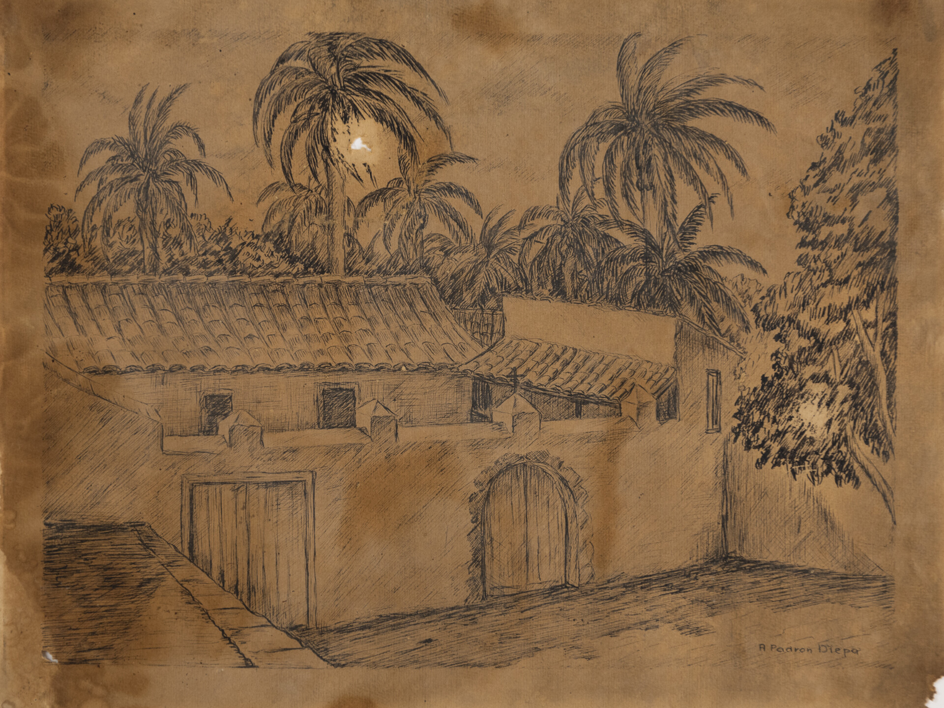 Casa canaria con palmeras. A. Padrón Diepa