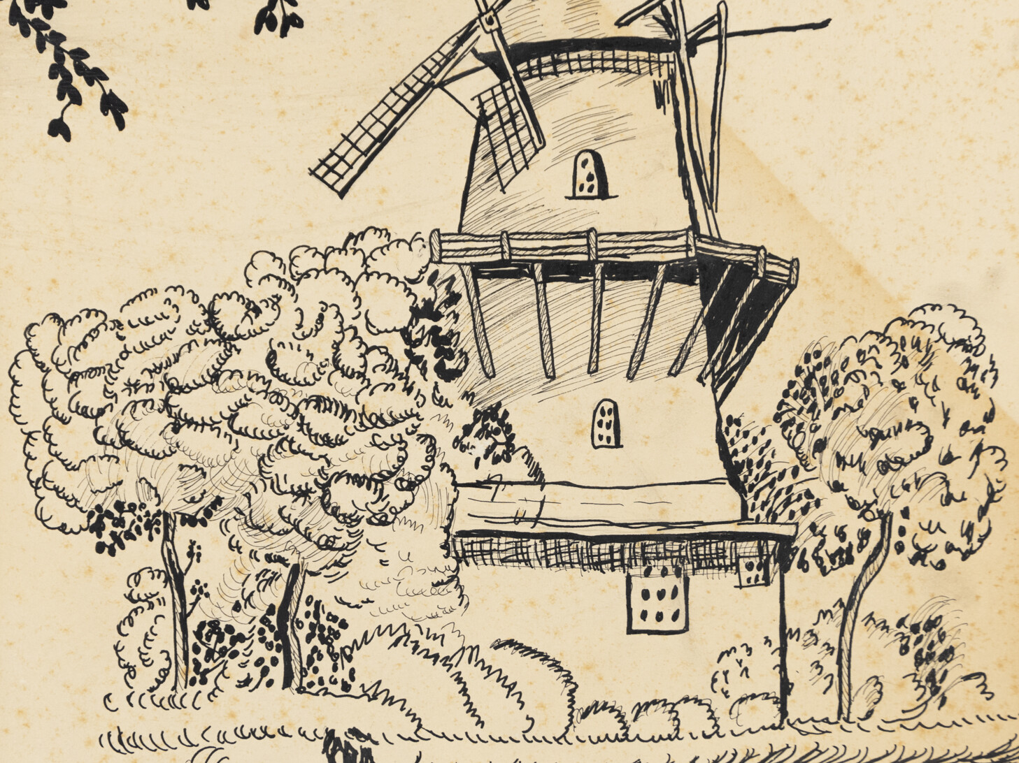 Molino. Juana Teresa